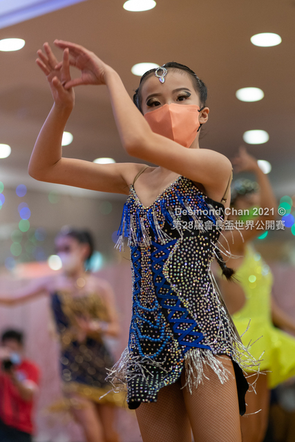 _DSC5584