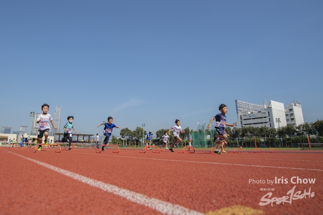 CYY_0801