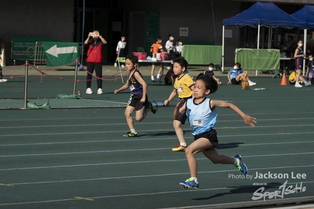 sportsoho運動版圖