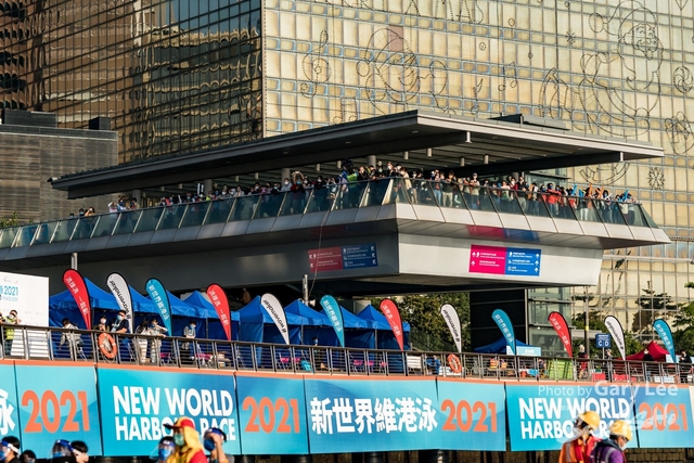 維港泳 0080
