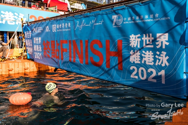 維港泳 0241