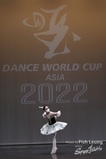 DSC02341