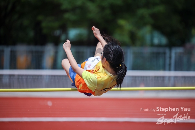 SY -0539