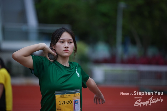 SY -2933