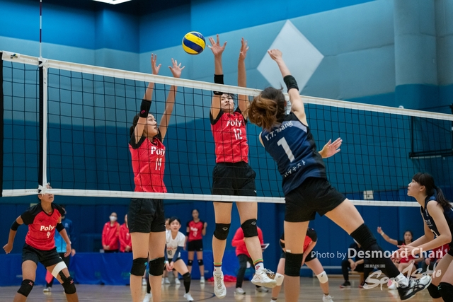 _DSC5868