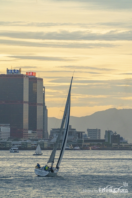 DSC00504