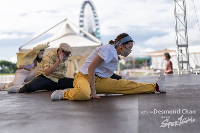 _DES4219