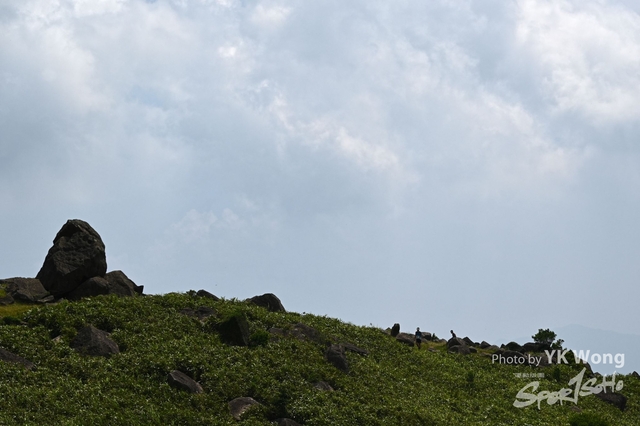 DSC_0987A