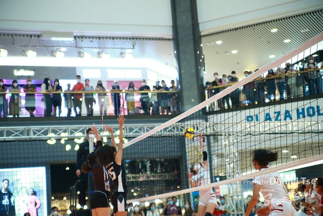 DANL2224