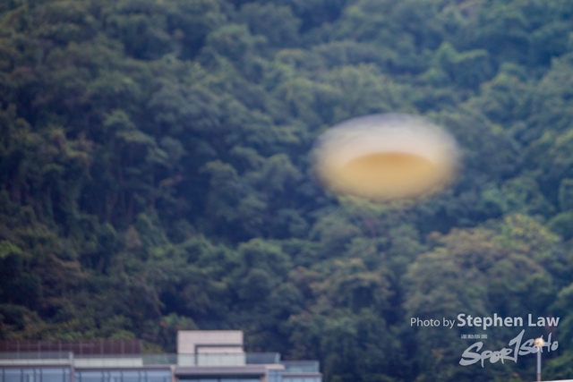 SP2_1238