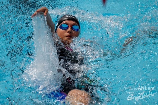 Z9A_6549