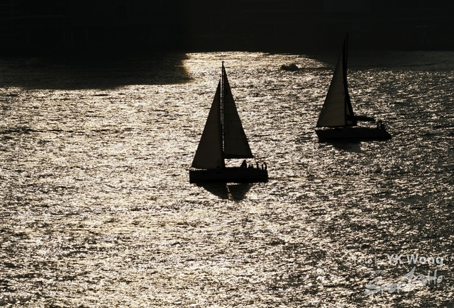 DSC_5074A