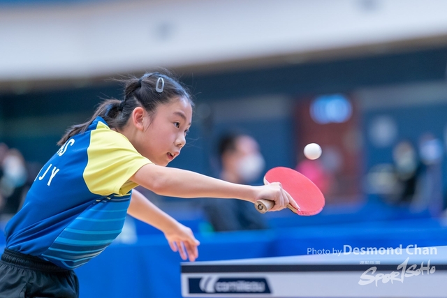 _DES4529