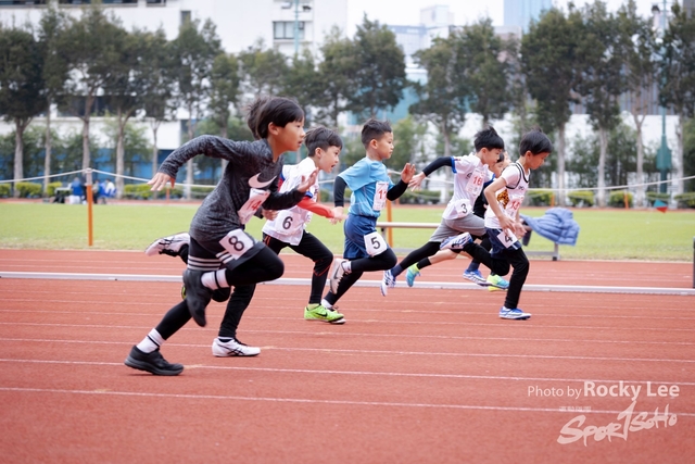 RLEE2516