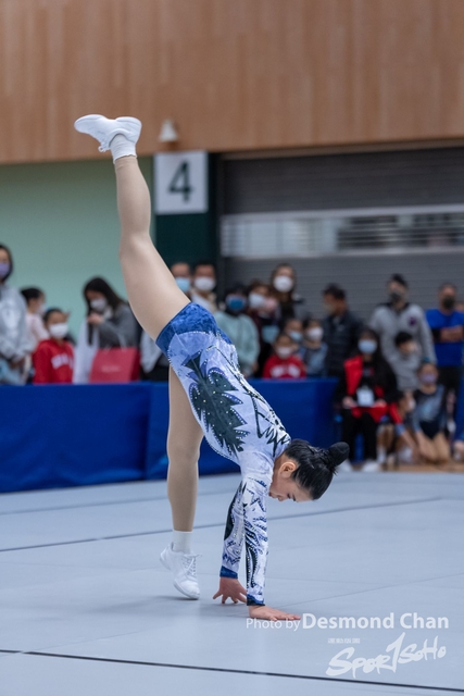 _DES6231
