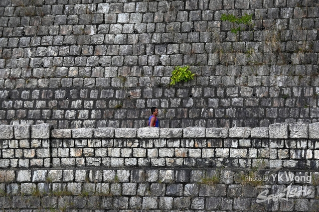 DSC_3666A