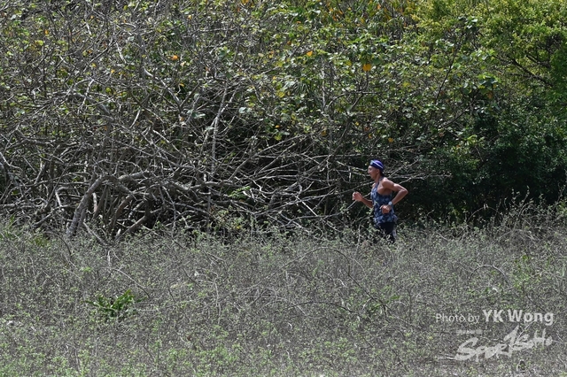 Z62_8356A