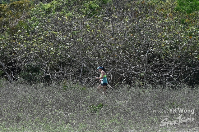 Z62_8472A