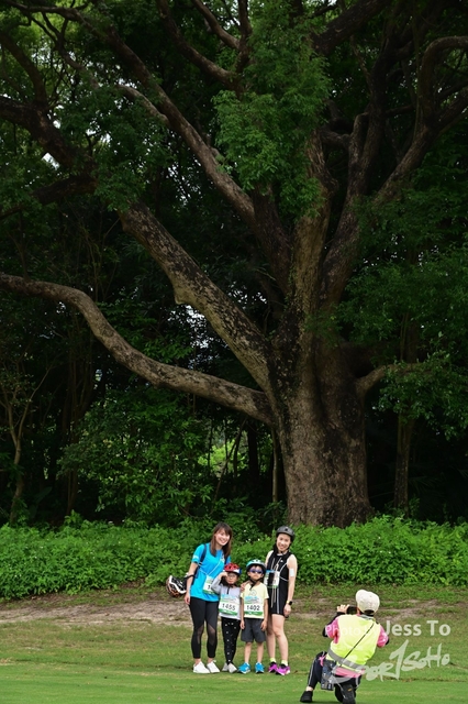 DZ6_0118-2