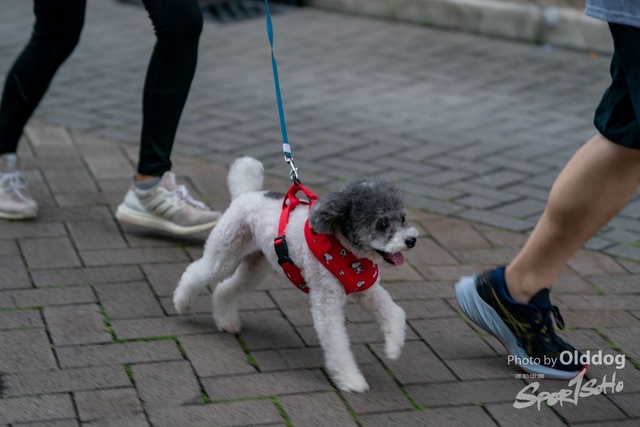 230507Snoopy-34