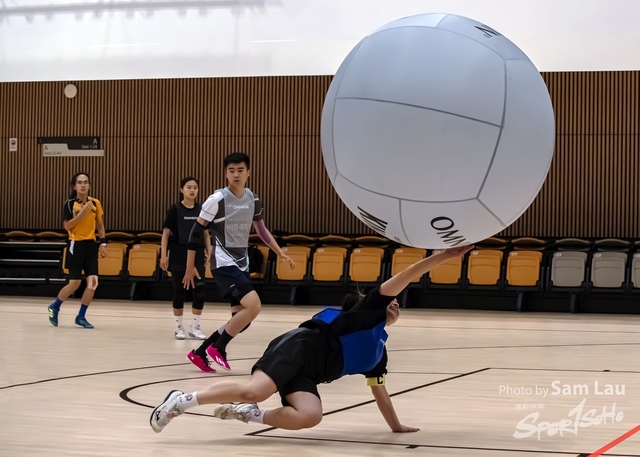 SAM_3514a
