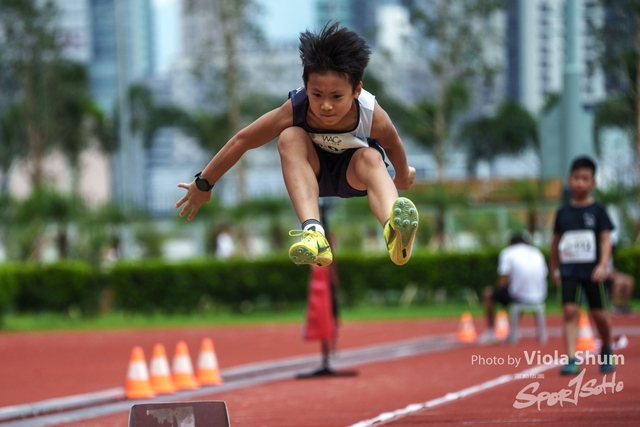 20230923_WAC_viola_DSC07260
