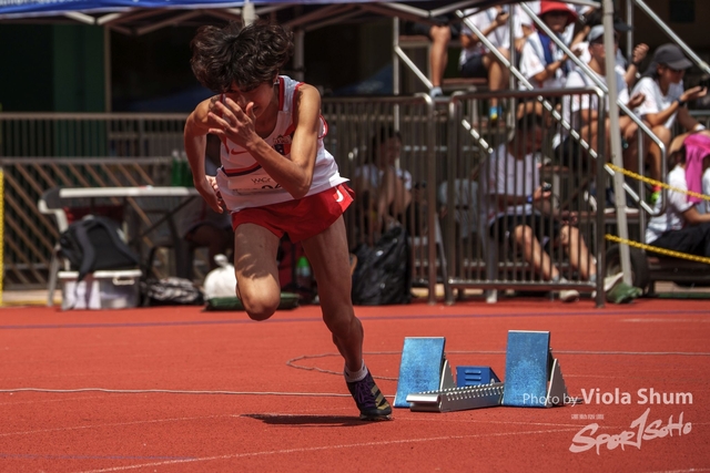 20230923_WAC_viola_DSC07311