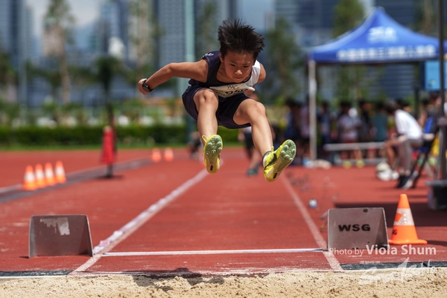 20230923_WAC_viola_DSC07324