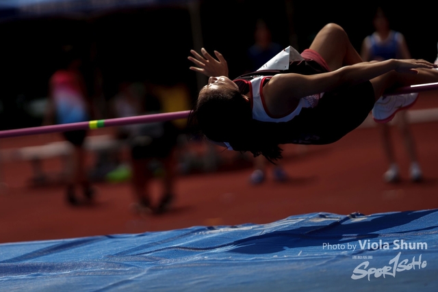 20230923_WAC_viola_DSC07334