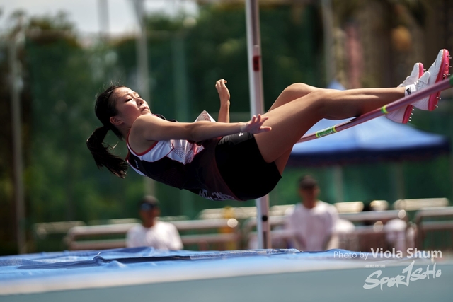 20230923_WAC_viola_DSC07357