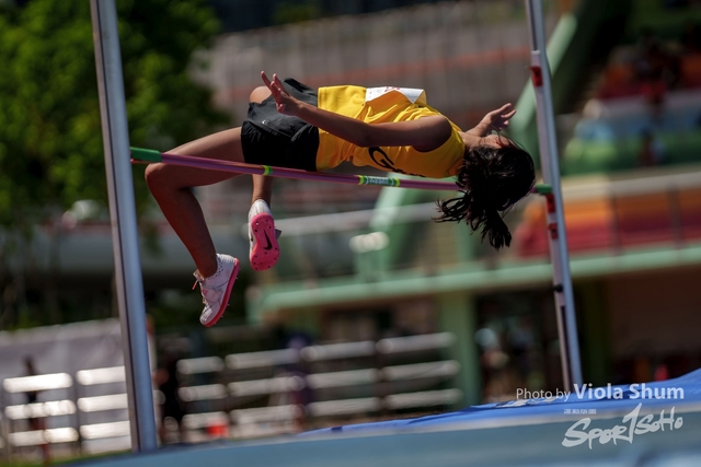 20230923_WAC_viola_DSC07462
