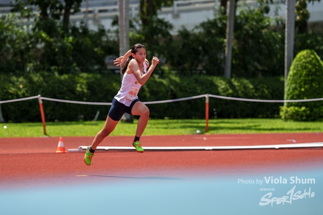 20230923_WAC_viola_DSC07510