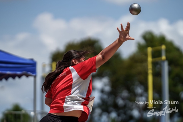20230923_WAC_viola_DSC07562