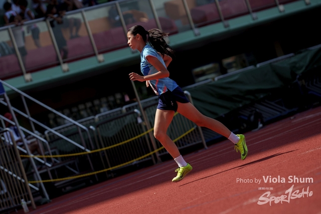 20230923_WAC_viola_DSC07681