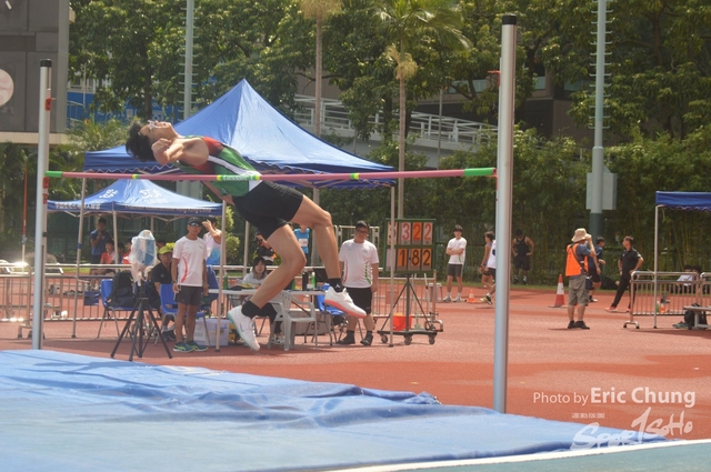 Watson_D4_0252