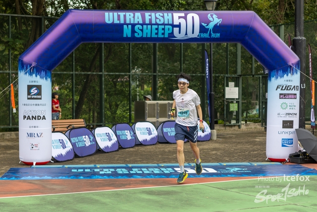 231028_Fise_n_Sheep-60