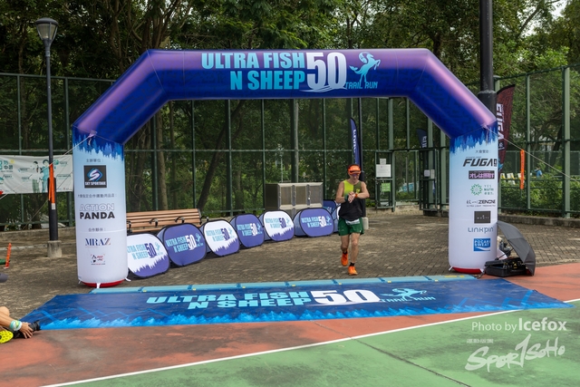 231028_Fise_n_Sheep-90