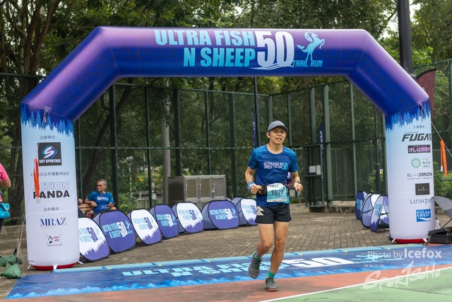 231028_Fise_n_Sheep-179