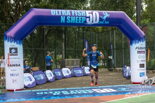 231028_Fise_n_Sheep-231