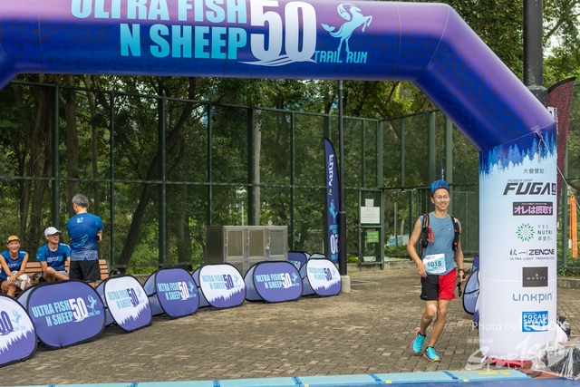 231028_Fise_n_Sheep-259