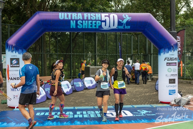 231028_Fise_n_Sheep-291