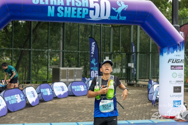 231028_Fise_n_Sheep-328