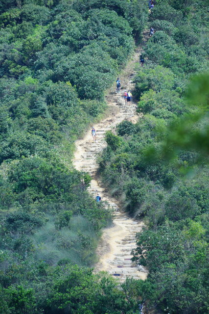 DSC03052