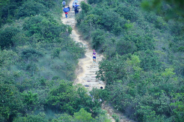 DSC03440