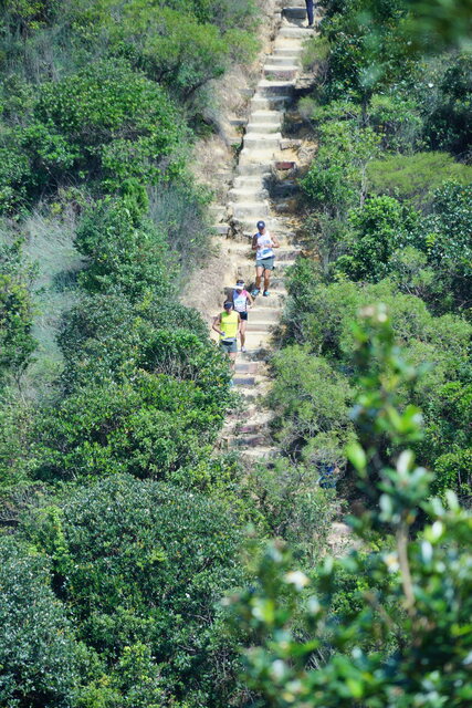 DSC03541
