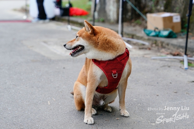 _DSC4798L