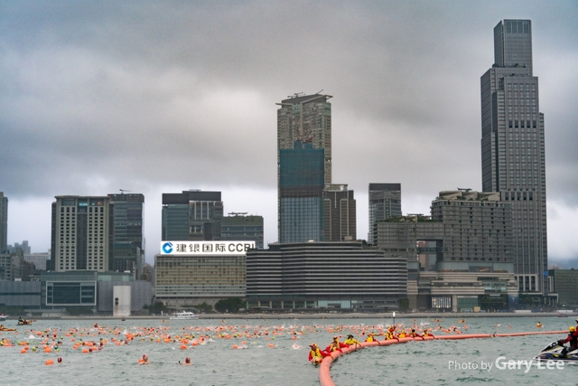 維港泳 0288