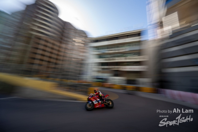 Z8B_1569