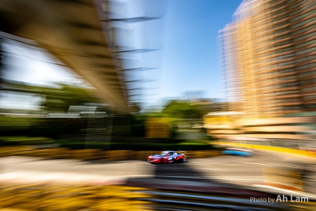 Z8B_2909