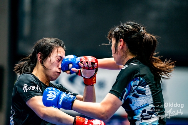 231210MMA-24